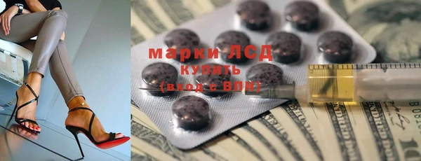 трава Бородино