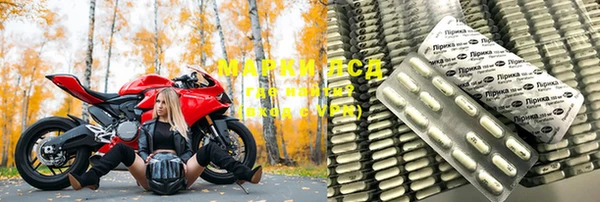 прущие грибы Балахна