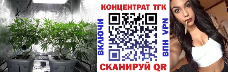 ТГК Wax  Ирбит 
