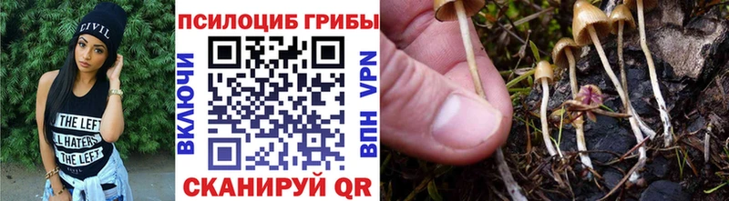 Галлюциногенные грибы Cubensis  Ирбит 